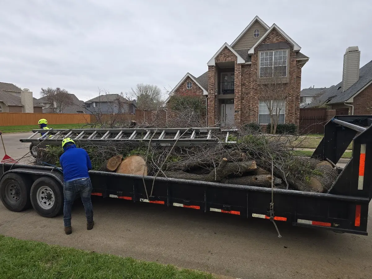 Expert Tree Removal with proper safety equipment in Carlisle